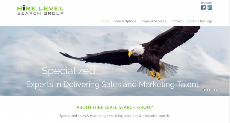 Hire Level Search Group