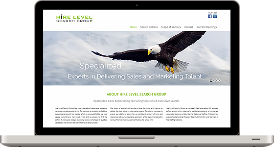 Hire Level Search Group