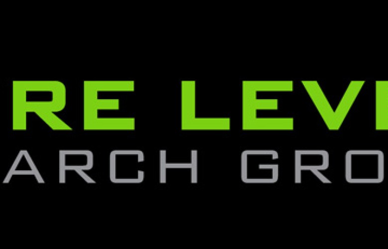 Hire Level Search Group