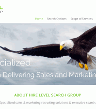 Hire Level Search Group